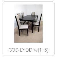 COS-LYDDIA (1+6)